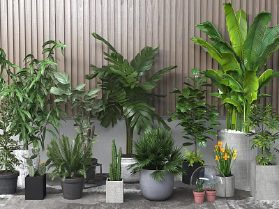 Various Potted Green Plants With Different Types Of Decorative Pots And Foliage 3d model