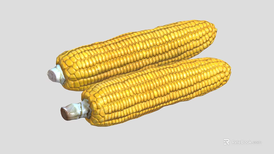 Two Fresh Yellow Ripe Corn Cobs with Sweet Juicy Kernels for Healthy Dishes 3d model 
