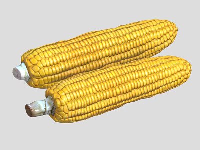 Two Fresh Yellow Ripe Corn Cobs with Sweet Juicy Kernels for Healthy Dishes 3d model