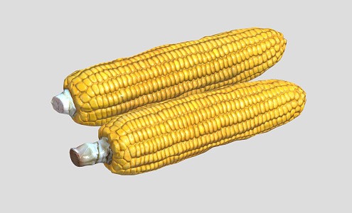 Modern Corn Cartoon Corn 3d model