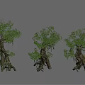 Three Arbor Trees 3D Models Featuring Green Foliage And Twisted Trunks 3d model