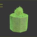 Vibrant Succulent Plant in Terracotta Hexagonal Pot with Green Top and Orange Base Leaves