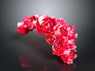 Red Roses Bouquet in Arc Shape for Decorative Living Space with Dark Background Reflection 3d model