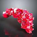 Red Roses Bouquet in Arc Shape for Decorative Living Space with Dark Background Reflection