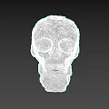 Intricate Skull Sculpture Carving With Detailed Floral Patterns And Decorative Design