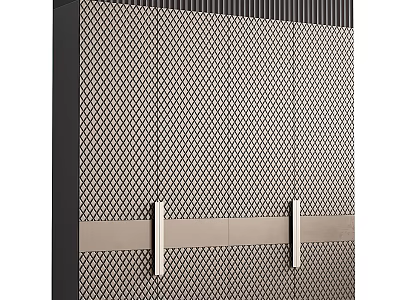 Modern Wardrobe with Mesh Panel Doors and Metallic Strip Accents Contemporary Design 3d model