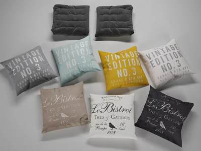 Vintage Edition And La Bistro Themed Throw Pillows With Various Colors And Text Designs 3d model