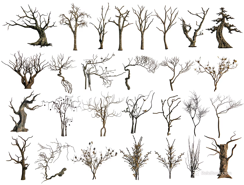 Diverse Deciduous Arbor Trees Collection With Various Bare Branch Structures And Shapes 3d model 