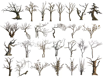 Diverse Deciduous Arbor Trees Collection With Various Bare Branch Structures And Shapes 3d model