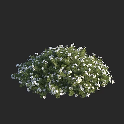 Modern Kenny Convolx Mountain Convolx Silver Convolx Shrub 3d model