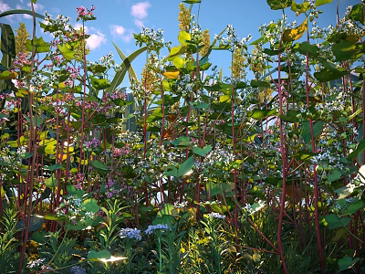 Vibrant Shrubs with Green Leaves Red Stems and Purple White Flowers in Sunlit Garden 3d model