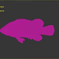 Colorful Brown And Red Fish With Scales And Fins On Gray Background