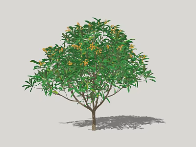 Lush Green Arbor with Yellow Flowers and Brown Trunk Casting Shadow 3d model