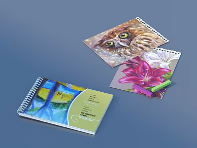 Decorative Spiral Notebooks With Owl Pink Flower And Landscape Art Prints 3d model
