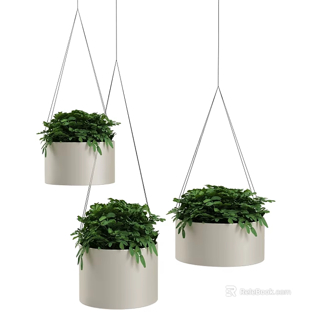 Three White Hanging Planters with Lush Green Foliage for Indoor Decor 3d model 