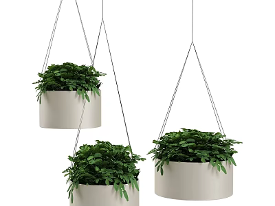 Three White Hanging Planters with Lush Green Foliage for Indoor Decor 3d model