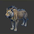 Orange and Black Striped Tiger With Spiked Mane Standing On Dark Reflective Surface