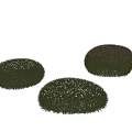 Lush Rounded Shrubs With Green Foliage And White Flowers For Garden Landscaping