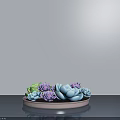 Colorful Succulent Potted Plants In Light Pink Tray On Gray Surface