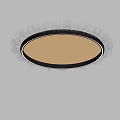 Modern ceiling lamp decorative lamp 3d model
