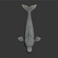 Beluga Whale Aquatic Animal With White Smooth Skin Open Mouth And Sharp Teeth