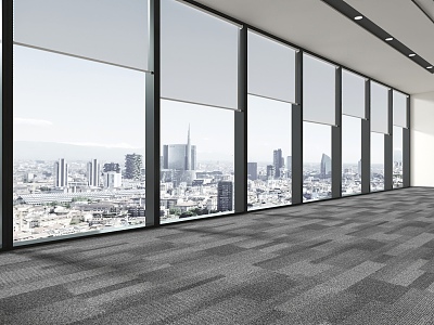 Office Curtain Wall Window Roller Blinds Pull Blinds Carpet 3d model