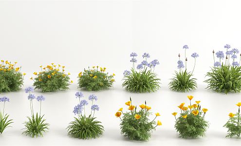 Modern flowers and plants 3d model