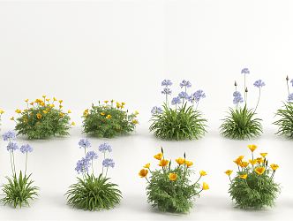 Modern flowers and plants 3d model