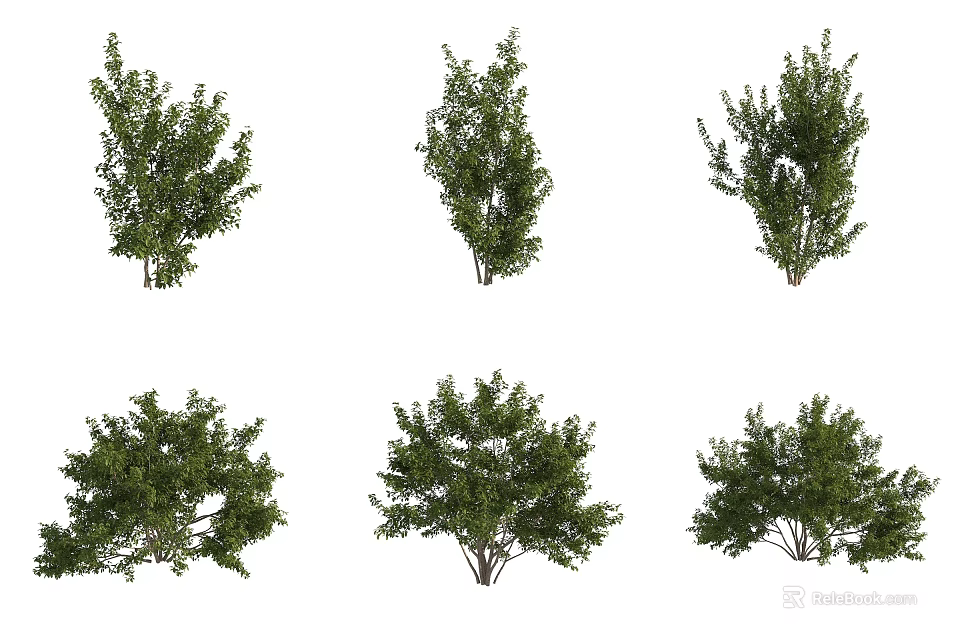 Various Shaped Arbor Trees With Lush Green Foliage For Landscape Design 3d model 