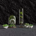 Decorative Bonsai Plants in Glass Cloches with Green Foliage and White Pots on Dark Background
