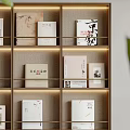 Modern Bookshelf With Multi Compartments Built in Lighting And Decorative Books Ornaments