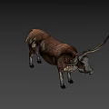 Brown And White Bull With Long Horns Standing On Plain Background 3d model