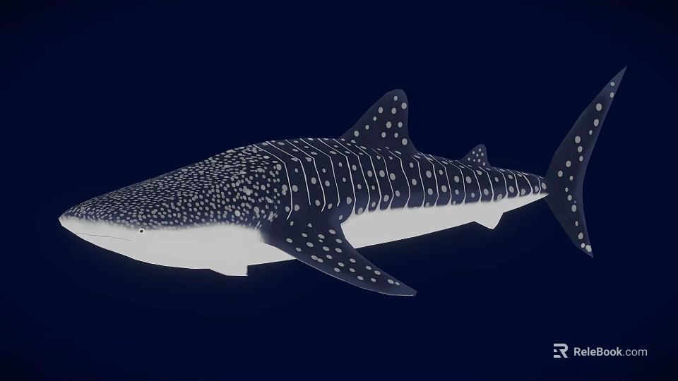 Spotted Black and White Whale Shark Game and Movie Character Marine Creature Design 3d model 