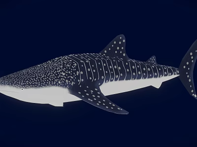 Spotted Black and White Whale Shark Game and Movie Character Marine Creature Design 3d model