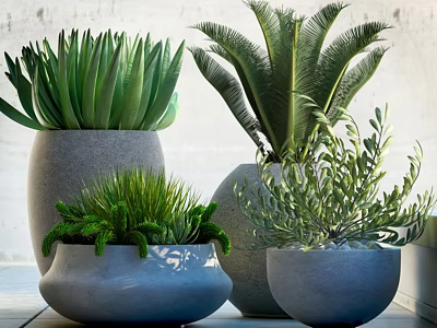 Various Types of Green Potted Plants in Modern Gray Ceramic Pots for Home Decor 3d model