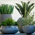 Various Types of Green Potted Plants in Modern Gray Ceramic Pots for Home Decor