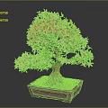 Bonsai Tree With Pink Flowers In Square Light Brown Pot Against Gray Background