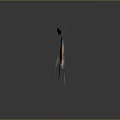 3D Rendering of Running Brown Deer With Antlers in Dark Background and Reflection