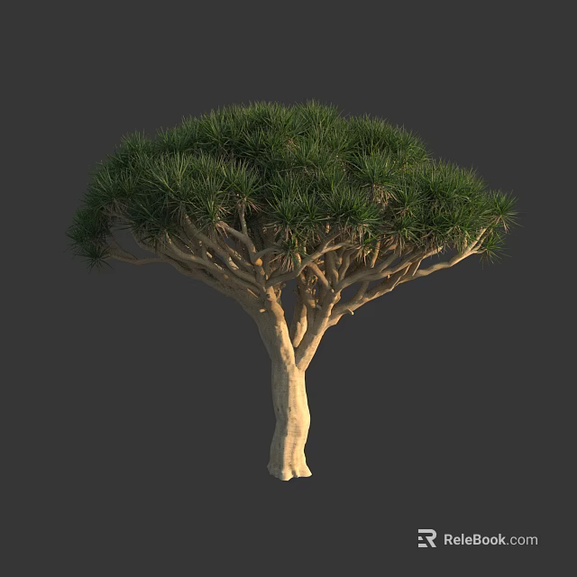 Exotic Tree With Light Colored Trunk Dense Green Foliage And Branchy Structure 3d model 