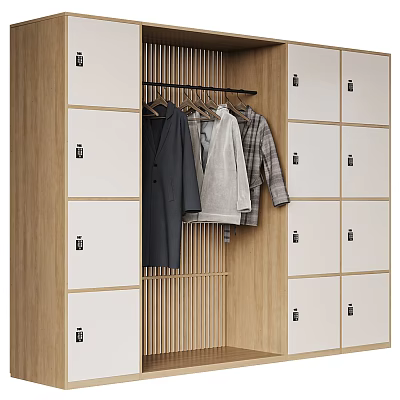 Sleek Modern Wooden And White Wardrobe Design With Hanging Rod And Locked Cabinets 3d model