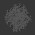 Leafless Tree With White Covered Branches And Brown Trunk Against Black Background 3d model