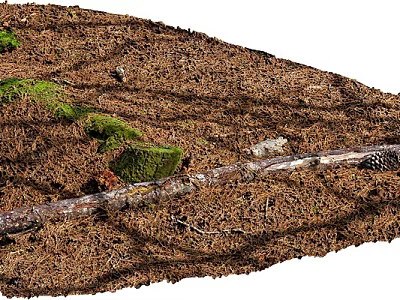 Rockery Stones With Green Moss Fallen Leaves And Wooden Log In Natural Garden 3d model