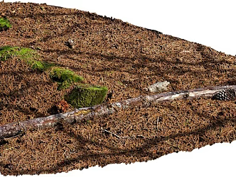 Realistic ground scanning ground surface scanning land 3d model