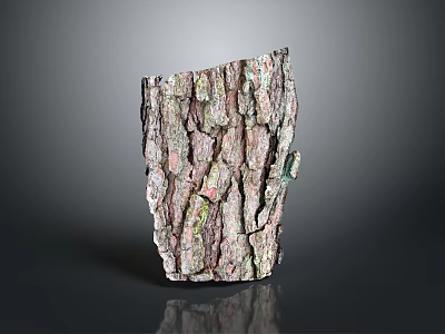 Authentic Plant Bark With Detailed Cracked Surface And Natural Multicolored Hues On Dark Background 3d model