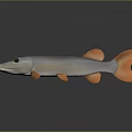 3D Fish Model With Gray Body Orange Fins And Tail Long Snout And Yellow Eyes