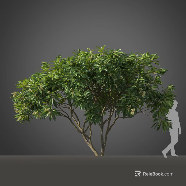 Lush Green Leafy Tree with Spreading Branches and Human Figure for Scale 3d model