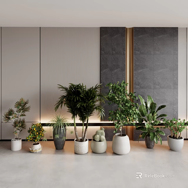 Elegant Indoor Bonsai Potted Plants With Modern Textured Wall And Diverse Planters 3d model 