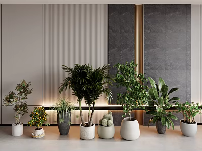 Elegant Indoor Bonsai Potted Plants With Modern Textured Wall And Diverse Planters 3d model