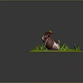 Cute Brown Goat Standing on Green Grass with Stones and Small Plants