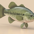 Black bass salmon bass grass carp crucian sturgeon tropical fish 3d model